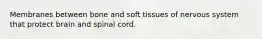 Membranes between bone and soft tissues of nervous system that protect brain and spinal cord.