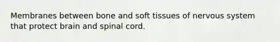 Membranes between bone and soft tissues of nervous system that protect brain and spinal cord.