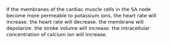 If the membranes of the cardiac muscle cells in the SA node become more permeable to potassium ions, the heart rate will increase. the heart rate will decrease. the membrane will depolarize. the stroke volume will increase. the intracellular concentration of calcium ion will increase.