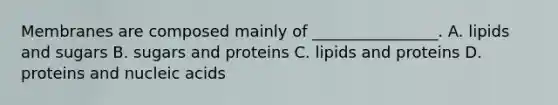 Membranes are composed mainly of ________________. A. lipids and sugars B. sugars and proteins C. lipids and proteins D. proteins and nucleic acids