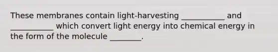 These membranes contain light-harvesting ___________ and ___________ which convert light energy into chemical energy in the form of the molecule ________.