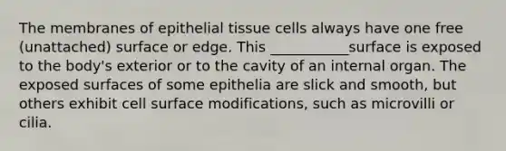 The membranes of epithelial tissue cells always have one free (unattached) surface or edge. This ___________surface is exposed to the body's exterior or to the cavity of an internal organ. The exposed surfaces of some epithelia are slick and smooth, but others exhibit cell surface modifications, such as microvilli or cilia.