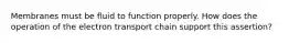 Membranes must be fluid to function properly. How does the operation of the electron transport chain support this assertion?