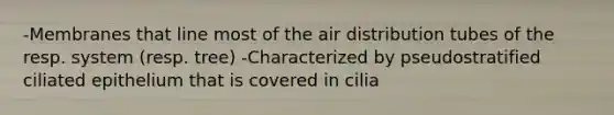 -Membranes that line most of the air distribution tubes of the resp. system (resp. tree) -Characterized by pseudostratified ciliated epithelium that is covered in cilia