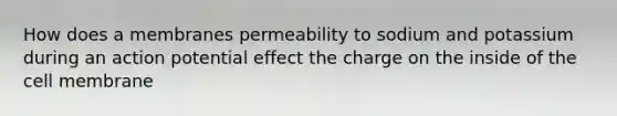 How does a membranes permeability to sodium and potassium during an action potential effect the charge on the inside of the cell membrane