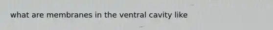 what are membranes in the ventral cavity like