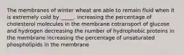 The membranes of winter wheat are able to remain fluid when it is extremely cold by _____. increasing the percentage of cholesterol molecules in the membrane cotransport of glucose and hydrogen decreasing the number of hydrophobic proteins in the membrane increasing the percentage of unsaturated phospholipids in the membrane