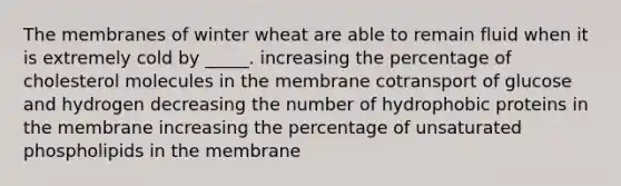 The membranes of winter wheat are able to remain fluid when it is extremely cold by _____. increasing the percentage of cholesterol molecules in the membrane cotransport of glucose and hydrogen decreasing the number of hydrophobic proteins in the membrane increasing the percentage of unsaturated phospholipids in the membrane