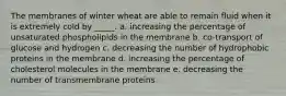 The membranes of winter wheat are able to remain fluid when it is extremely cold by _____. a. increasing the percentage of unsaturated phospholipids in the membrane b. co-transport of glucose and hydrogen c. decreasing the number of hydrophobic proteins in the membrane d. increasing the percentage of cholesterol molecules in the membrane e. decreasing the number of transmembrane proteins