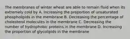 The membranes of winter wheat are able to remain fluid when its extremely cold by A. Increasing the proportion of unsaturated phospholipids in the membrane B. Decreasing the percentage of cholesterol molecules in the membrane C. Decreasing the number of hydrophobic proteins in the membrane D. Increasing the proportion of glycolipids in the membrane