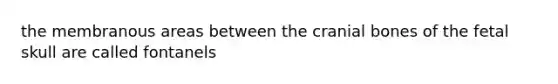 the membranous areas between the cranial bones of the fetal skull are called fontanels
