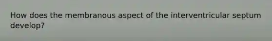 How does the membranous aspect of the interventricular septum develop?