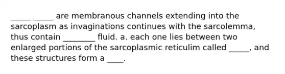 _____ _____ are membranous channels extending into the sarcoplasm as invaginations continues with the sarcolemma, thus contain ________ fluid. a. each one lies between two enlarged portions of the sarcoplasmic reticulim called _____, and these structures form a ____.