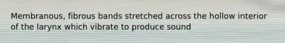 Membranous, fibrous bands stretched across the hollow interior of the larynx which vibrate to produce sound