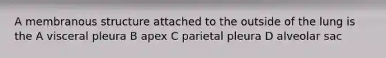 A membranous structure attached to the outside of the lung is the A visceral pleura B apex C parietal pleura D alveolar sac