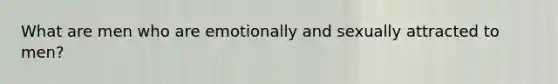 What are men who are emotionally and sexually attracted to men?