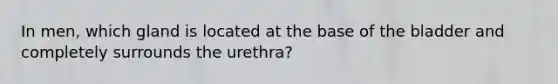 In men, which gland is located at the base of the bladder and completely surrounds the urethra?