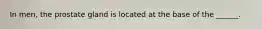 In men, the prostate gland is located at the base of the ______.