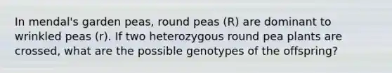 In mendal's garden peas, round peas (R) are dominant to wrinkled peas (r). If two heterozygous round pea plants are crossed, what are the possible genotypes of the offspring?