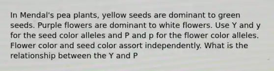 In Mendal's pea plants, yellow seeds are dominant to green seeds. Purple flowers are dominant to white flowers. Use Y and y for the seed color alleles and P and p for the flower color alleles. Flower color and seed color assort independently. What is the relationship between the Y and P