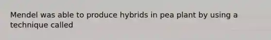 Mendel was able to produce hybrids in pea plant by using a technique called