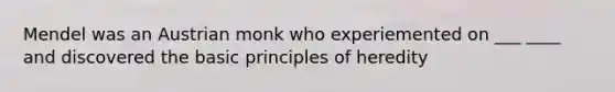 Mendel was an Austrian monk who experiemented on ___ ____ and discovered the basic principles of heredity