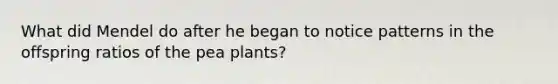 What did Mendel do after he began to notice patterns in the offspring ratios of the pea plants?