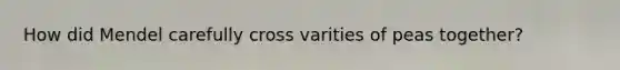 How did Mendel carefully cross varities of peas together?