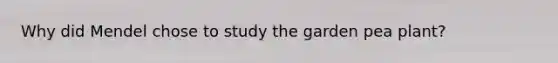 Why did Mendel chose to study the garden pea plant?