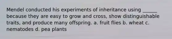 Mendel conducted his experiments of inheritance using ______ because they are easy to grow and cross, show distinguishable traits, and produce many offspring. a. fruit flies b. wheat c. nematodes d. pea plants