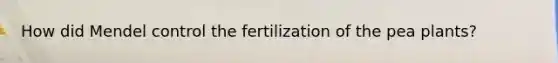 How did Mendel control the fertilization of the pea plants?