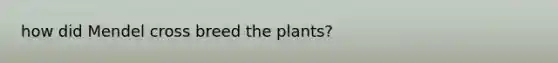 how did Mendel cross breed the plants?