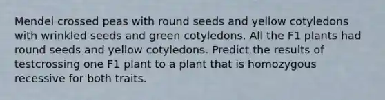 Mendel crossed peas with round seeds and yellow cotyledons with wrinkled seeds and green cotyledons. All the F1 plants had round seeds and yellow cotyledons. Predict the results of testcrossing one F1 plant to a plant that is homozygous recessive for both traits.