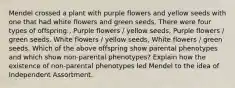 Mendel crossed a plant with purple flowers and yellow seeds with one that had white flowers and green seeds. There were four types of offspring:, Purple flowers / yellow seeds, Purple flowers / green seeds. White flowers / yellow seeds, White flowers / green seeds. Which of the above offspring show parental phenotypes and which show non-parental phenotypes? Explain how the existence of non-parental phenotypes led Mendel to the idea of Independent Assortment.