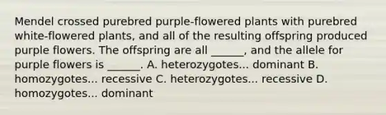 Mendel crossed purebred purple-flowered plants with purebred white-flowered plants, and all of the resulting offspring produced purple flowers. The offspring are all ______, and the allele for purple flowers is ______. A. heterozygotes... dominant B. homozygotes... recessive C. heterozygotes... recessive D. homozygotes... dominant