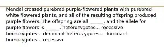 Mendel crossed purebred purple-flowered plants with purebred white-flowered plants, and all of the resulting offspring produced purple flowers. The offspring are all ______, and the allele for purple flowers is ______. heterozygotes... recessive homozygotes... dominant heterozygotes... dominant homozygotes... recessive