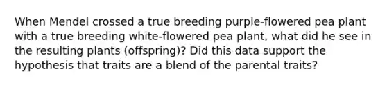 When Mendel crossed a true breeding purple-flowered pea plant with a true breeding white-flowered pea plant, what did he see in the resulting plants (offspring)? Did this data support the hypothesis that traits are a blend of the parental traits?