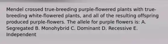 Mendel crossed true-breeding purple-flowered plants with true-breeding white-flowered plants, and all of the resulting offspring produced purple-flowers. The allele for purple flowers is: A. Segregated B. Monohybrid C. Dominant D. Recessive E. Independent