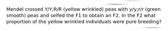 Mendel crossed Y/Y;R/R (yellow wrinkled) peas with y/y;r/r (green smooth) peas and selfed the F1 to obtain an F2. In the F2 what proportion of the yellow wrinkled individuals were pure breeding?