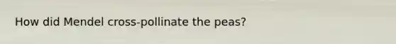 How did Mendel cross-pollinate the peas?