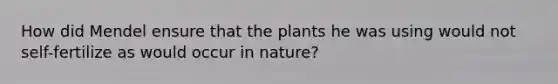 How did Mendel ensure that the plants he was using would not self-fertilize as would occur in nature?