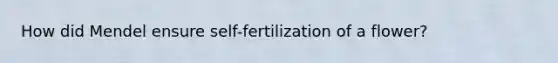 How did Mendel ensure self-fertilization of a flower?