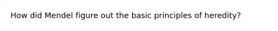 How did Mendel figure out the basic principles of heredity?