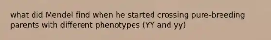 what did Mendel find when he started crossing pure-breeding parents with different phenotypes (YY and yy)