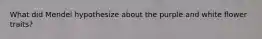 What did Mendel hypothesize about the purple and white flower traits?