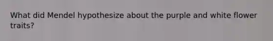 What did Mendel hypothesize about the purple and white flower traits?
