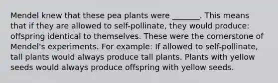 Mendel knew that these pea plants were _______. This means that if they are allowed to self-pollinate, they would produce: offspring identical to themselves. These were the cornerstone of Mendel's experiments. For example: If allowed to self-pollinate, tall plants would always produce tall plants. Plants with yellow seeds would always produce offspring with yellow seeds.