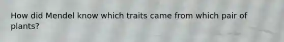 How did Mendel know which traits came from which pair of plants?