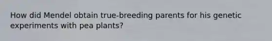 How did Mendel obtain true-breeding parents for his genetic experiments with pea plants?