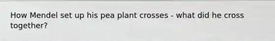 How Mendel set up his pea plant crosses - what did he cross together?